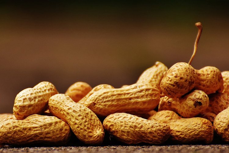 Top 10 namirnica koje sadrže najviše proteina