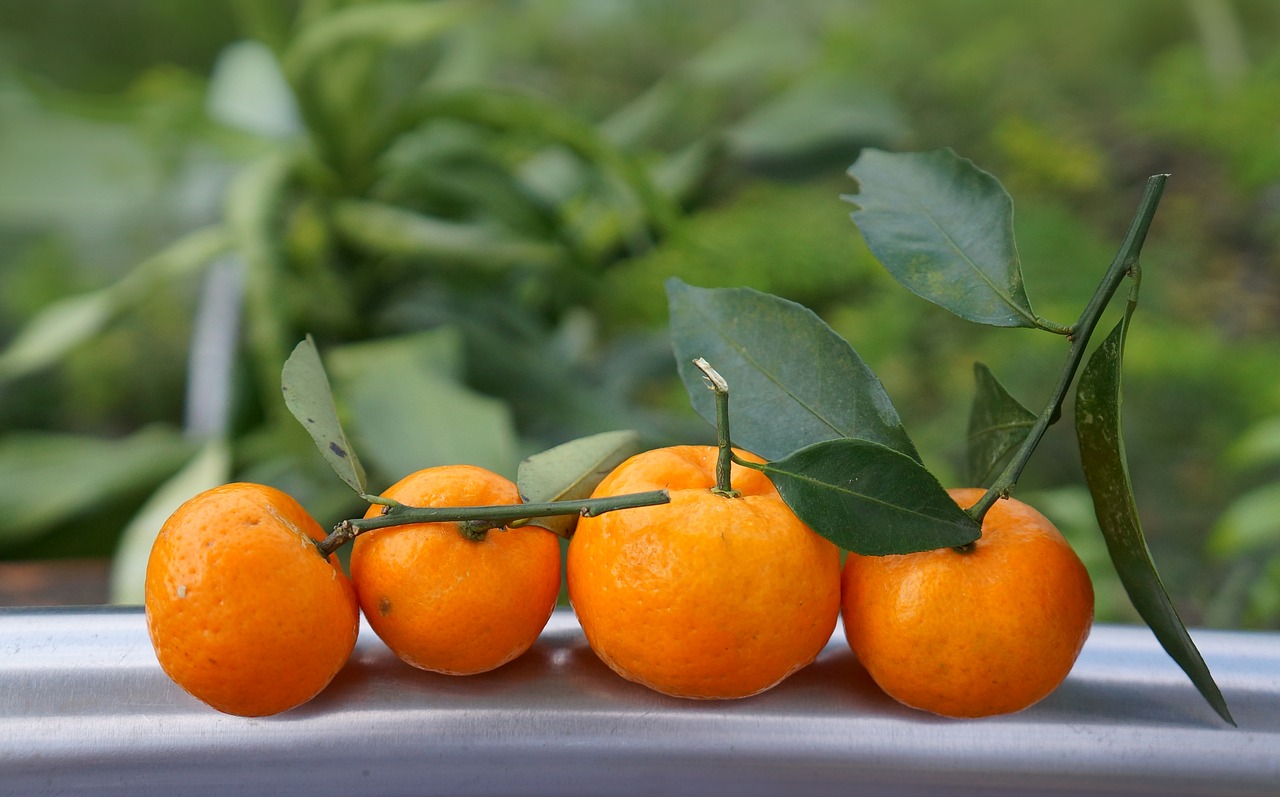 Nevjerovatne zdravstvene koristi mandarina Nevjerovatne zdravstvene koristi mandarina
