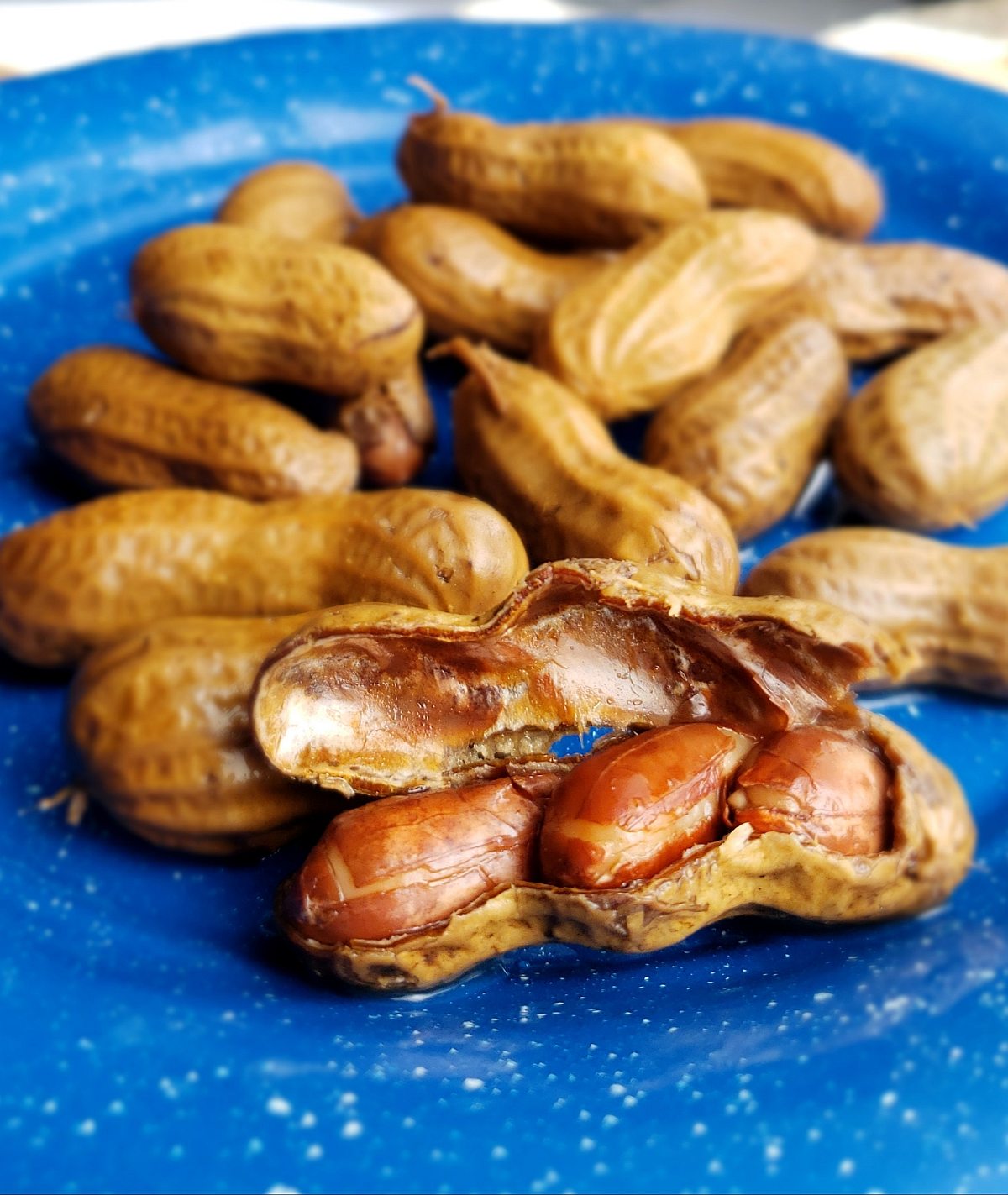 Namirnice bogate vitaminom E