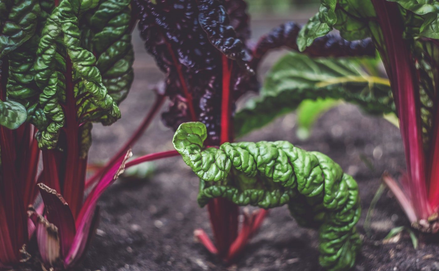 Namirnice bogate vitaminom E