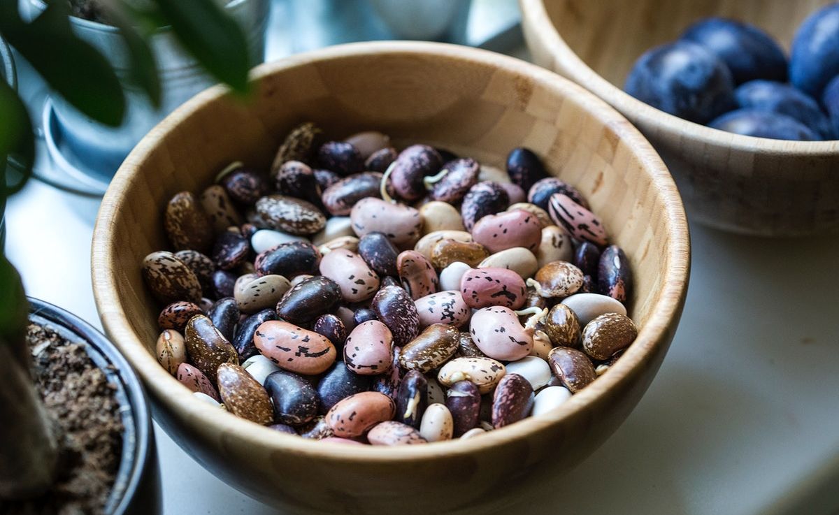 Namirnice bogate željezom Namirnice bogate željezom