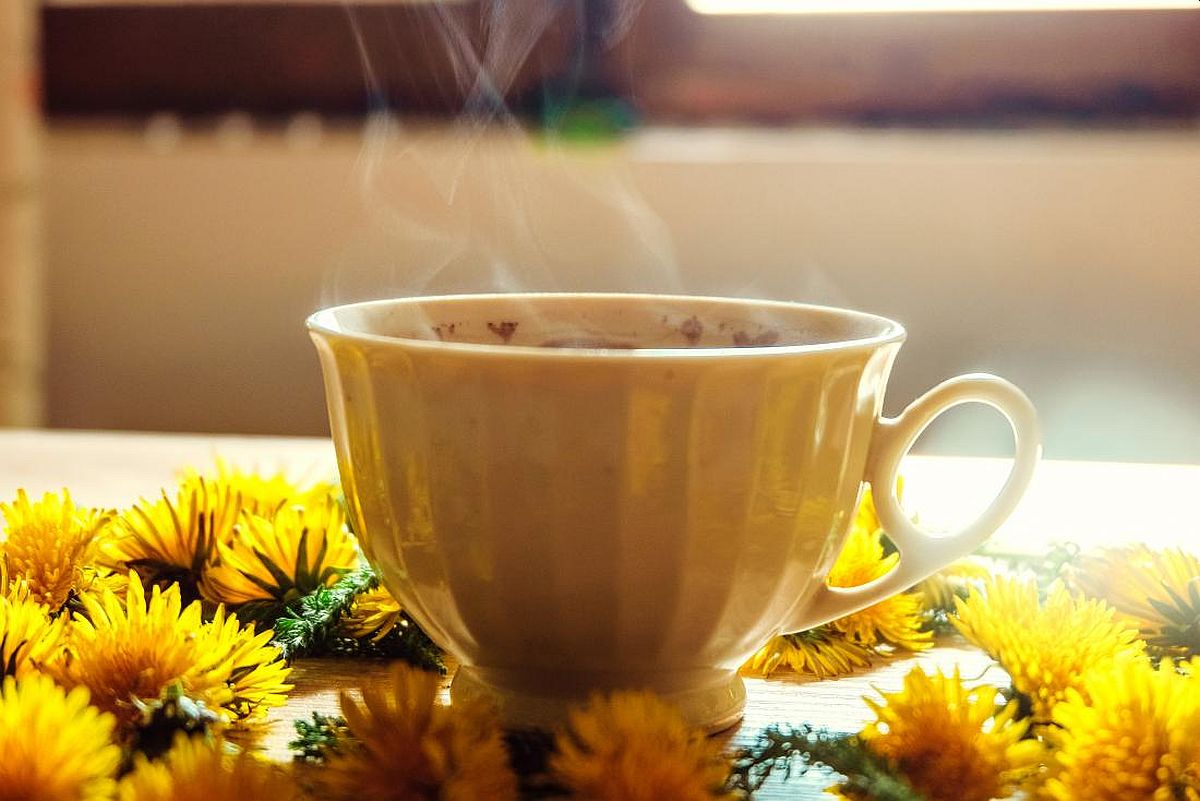 Ljekovita svojstva čaja od maslačka