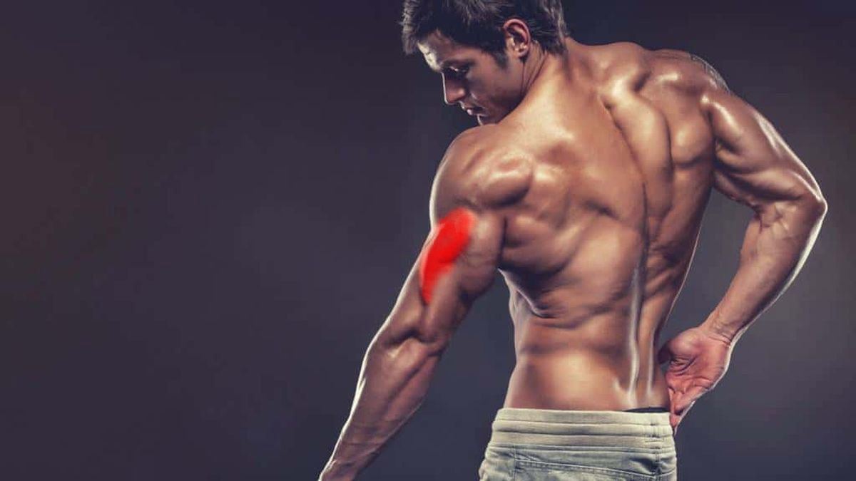 Kako izgraditi triceps: Vježbe za sve tri glave