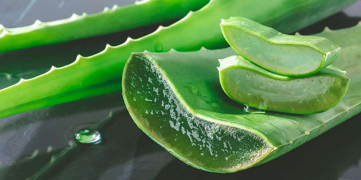 Nevjerovatne prednosti aloe vere