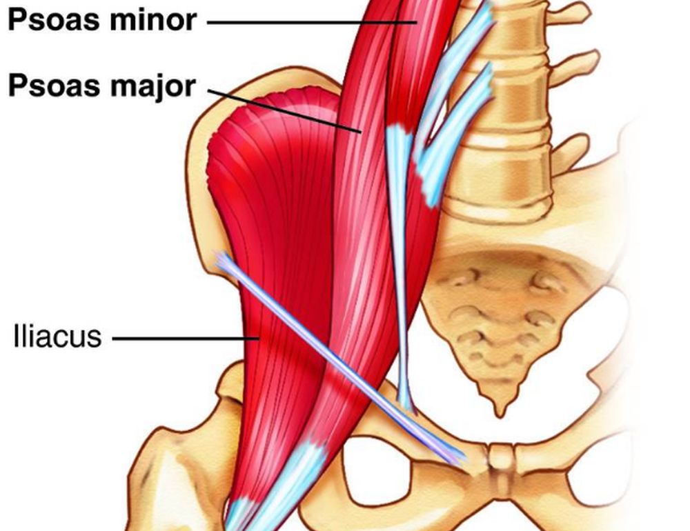 Četiri razloga zbog kojih i sportiste pogađa bol u leđima Četiri razloga zbog kojih i sportiste pogađa bol u leđima