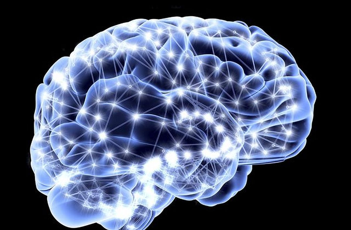 Šta se dešava sa našim mozgom kada naučimo nešto novo?