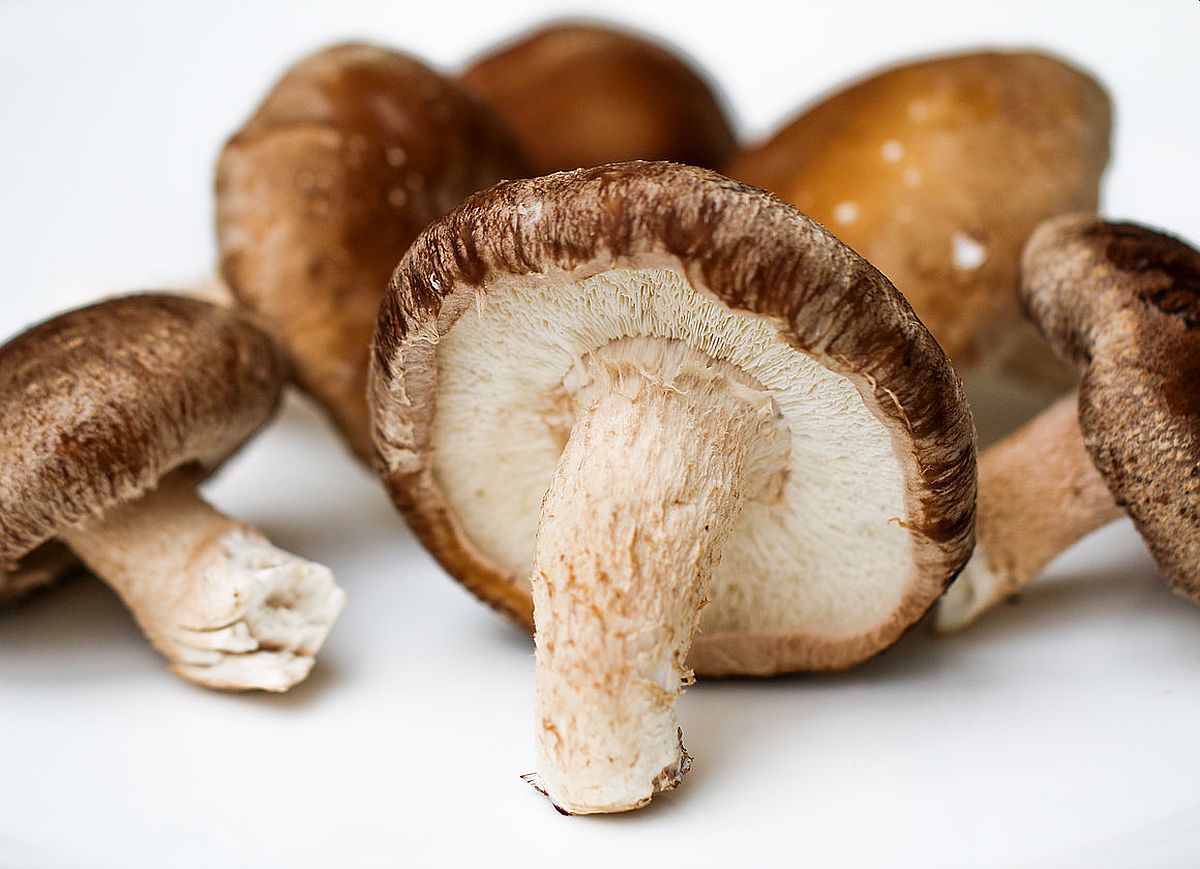 Namirnice koje su odlične za prehladu, gripu i druge zimske zdravstvene probleme Namirnice koje su odlične za prehladu, gripu i druge zimske zdravstvene probleme