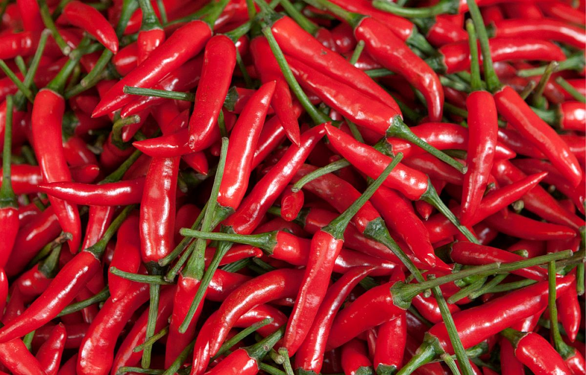 Namirnice koje su odlične za prehladu, gripu i druge zimske zdravstvene probleme Namirnice koje su odlične za prehladu, gripu i druge zimske zdravstvene probleme