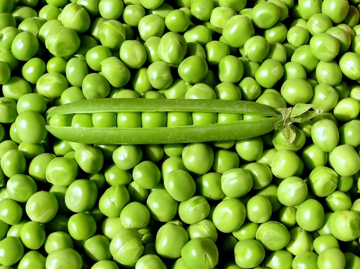 Da li ste znali da su ove namirnice prepune magnezija?