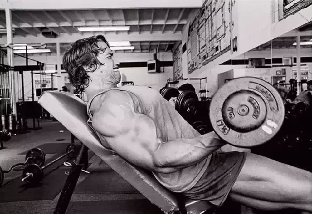 Savjeti najboljeg: Četiri preporuke Arnolda Schwarzeneggera za uspjeh u fitnessu