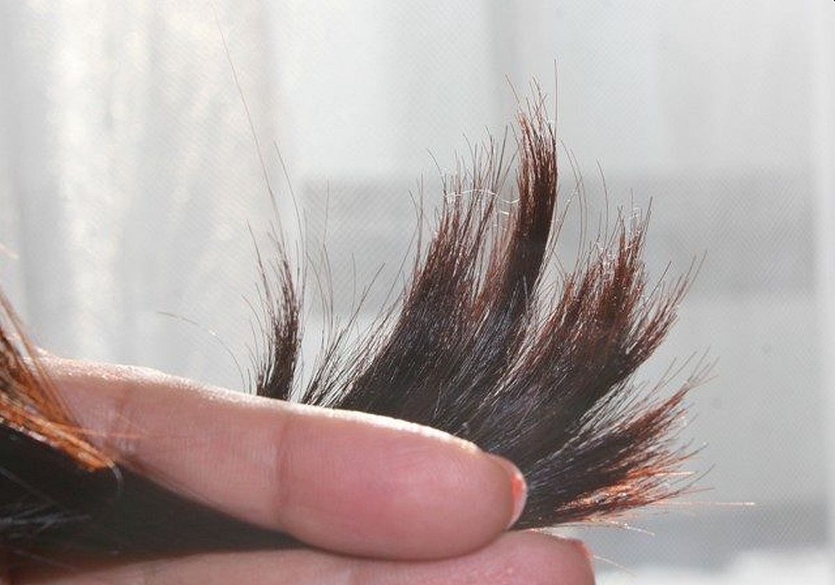 Prije nego se odlučite skratiti kosu, upoznajte se sa ovim činjenicama o šišanju