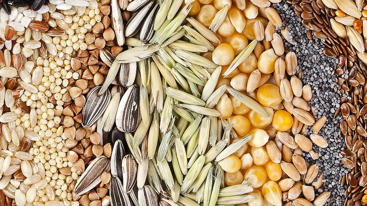 Pobijedite popodnevnu pospanost uz ove grickalice