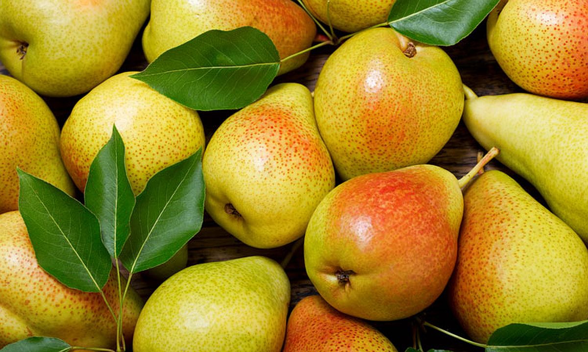Čudesni voćni plodovi koji su savršeni za gubitak kilograma