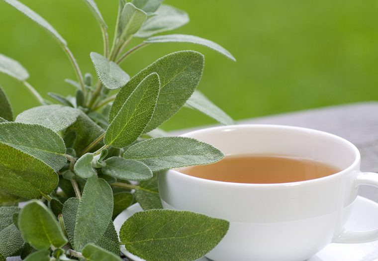 Impresivne biljke koje imaju antivirusna dejstva