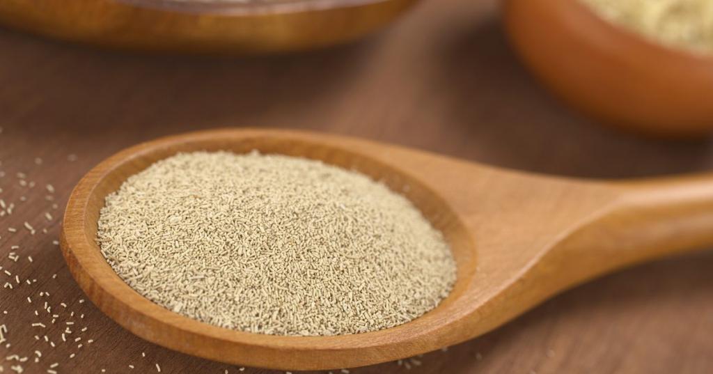 Koji su najbolji biljni proteini? Koji su najbolji biljni proteini?