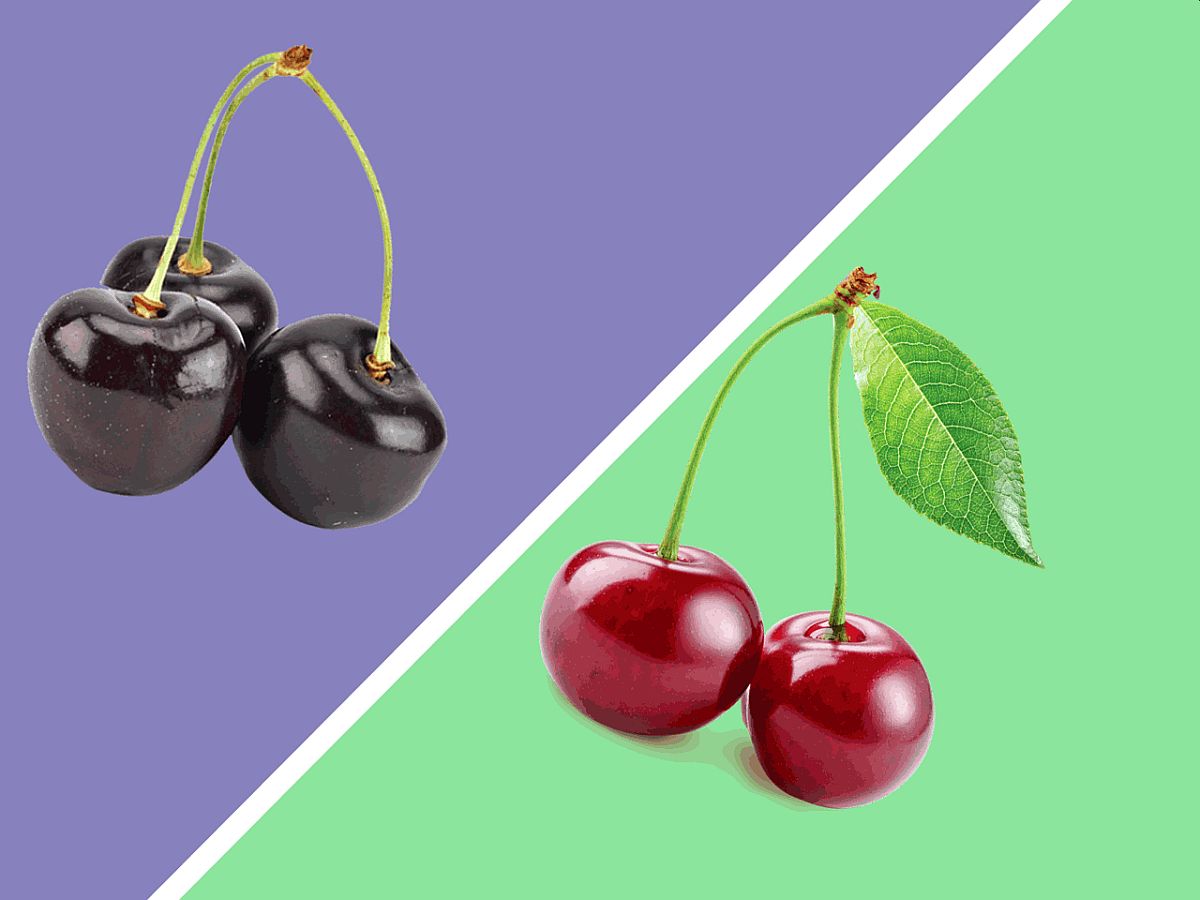 Najbollji izbor voća za dijabetičare