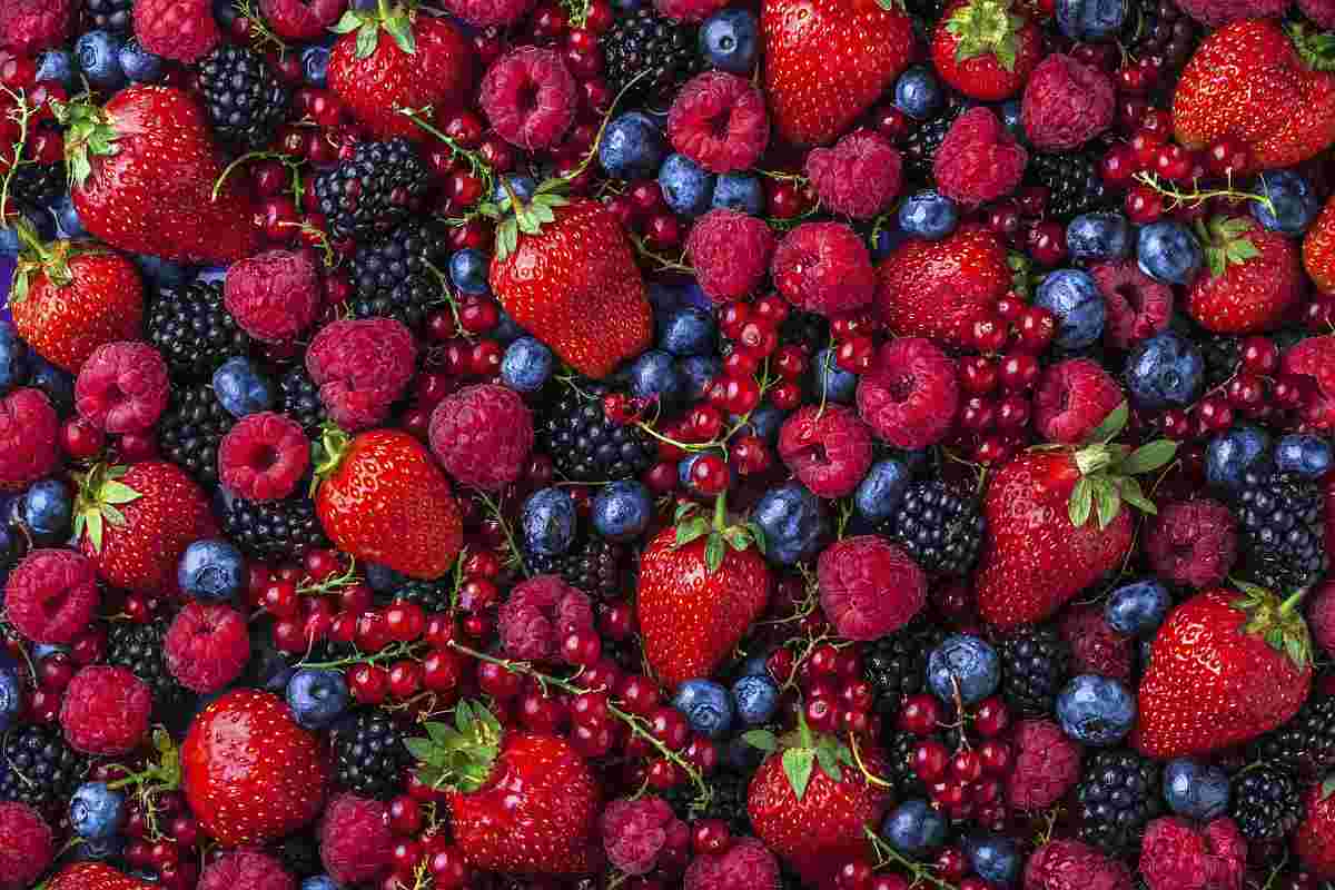 Hrana bogata vlaknima za bolju probavu i brzo mršanje