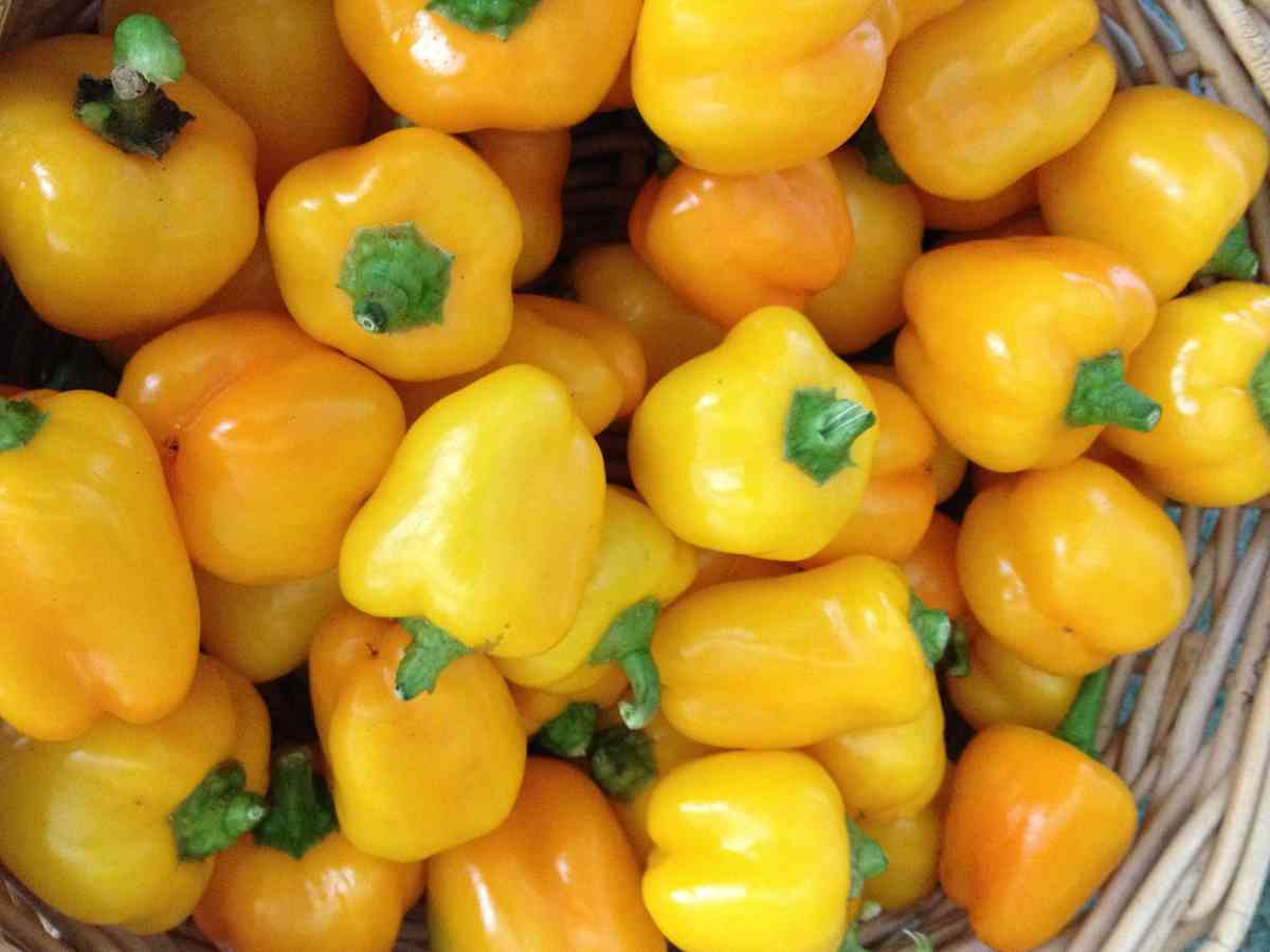 Dodajte boje u vaš tanjir: Šest namirnica žute boje koje će poboljšati vaše zdravlje