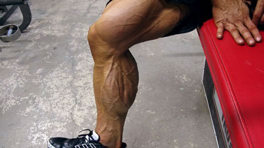 Rat sa genetikom: Kako do masivnih listova?