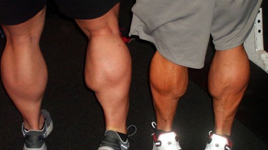 Rat sa genetikom: Kako do masivnih listova?