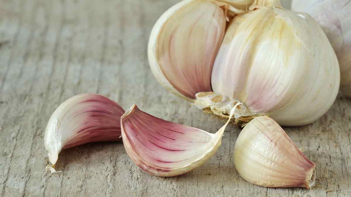 Bolji ukus i zdravlje: Koja su ljekovita svojstva začina za vas? Bolji ukus i zdravlje: Koja su ljekovita svojstva začina za vas?
