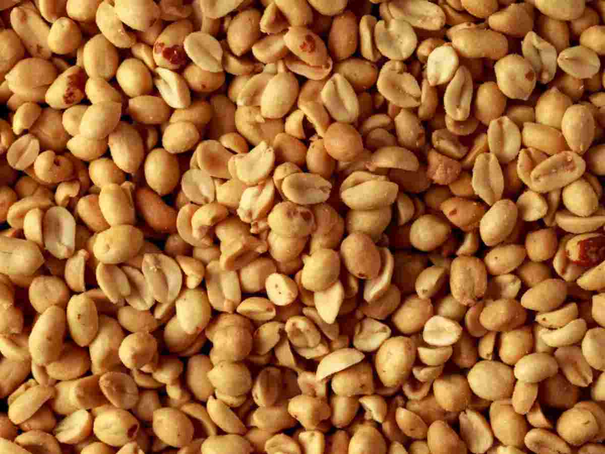 Visokoproteinski orašasti plodovi koje možete dodati u ishranu