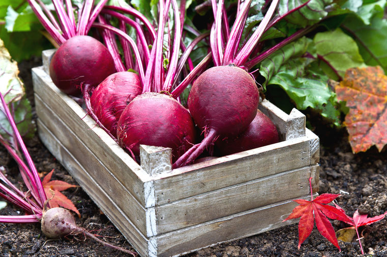 Najzdravije povrće koje trebate jesti svakodnevno Najzdravije povrće koje trebate jesti svakodnevno
