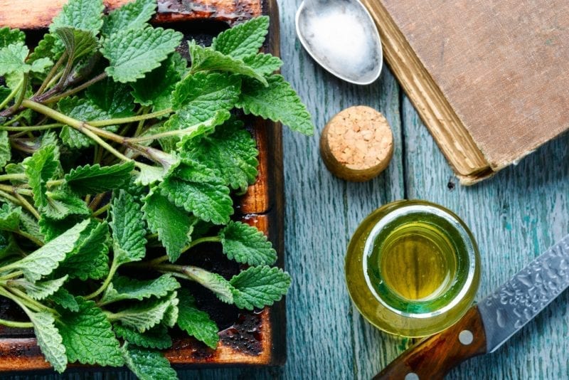 Pobijedite nesanicu uz ove relaksirajuće čajeve