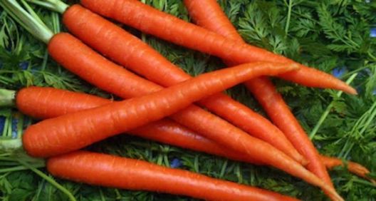 Pet namirnica koje najzdraviji uvijek imaju u kući