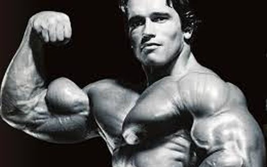 Početnici u teretani i savjeti za uspjeh