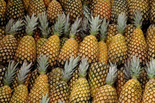 Ananas: Voće koje zaslužuje češće konzumiranje Ananas: Voće koje zaslužuje češće konzumiranje