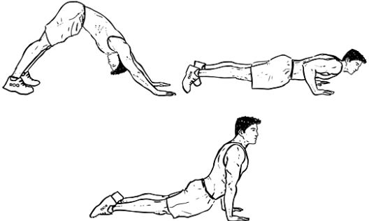 Tri pokreta koja aktiviraju 300 mišića