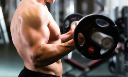 5 odgovora zašto ne možete razviti velike bicepse