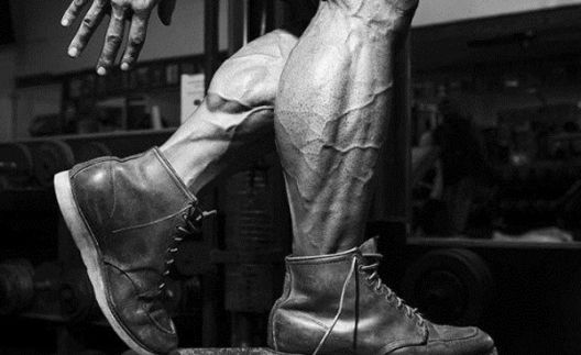 Razvoj listova i stvari koje treba izbjegavati