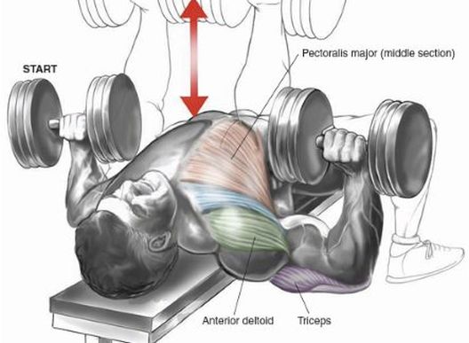 Četiri najbolja superseta za razvoj prsa