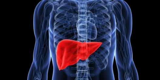 Ono što maslačak sve liječi ni jedan lijek ne može Ono što maslačak sve liječi ni jedan lijek ne može