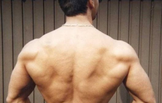 Top 10 mitova o mišićima u koje se vjeruje