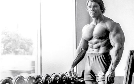 Schwarzenegger preporučuje manje konzumiranje mesa