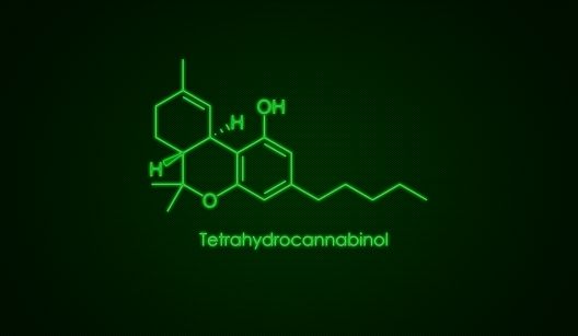 Top 10 mitova o mišićima u koje se vjeruje