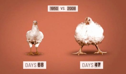 Najveći uzročnici pada testosterona kod muškaraca