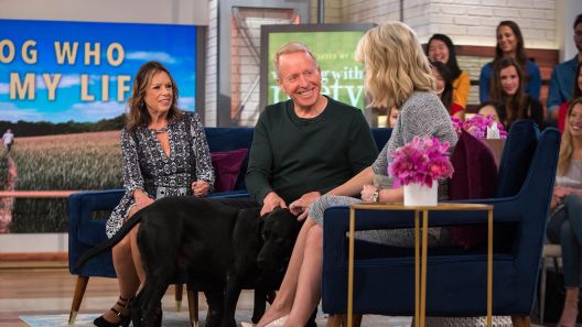 Sedam lekcija naučenih nakon mršanja od čak 71 kg Sedam lekcija naučenih nakon mršanja od čak 71 kg