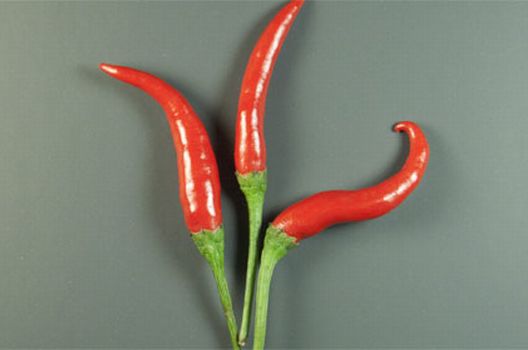 Obnovite i ojačajte kosu na prirodan način