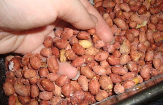 Koja hrana snižava šećer u krvi?