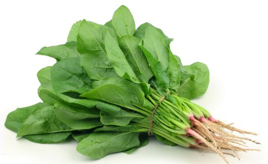 Koja hrana snižava šećer u krvi?