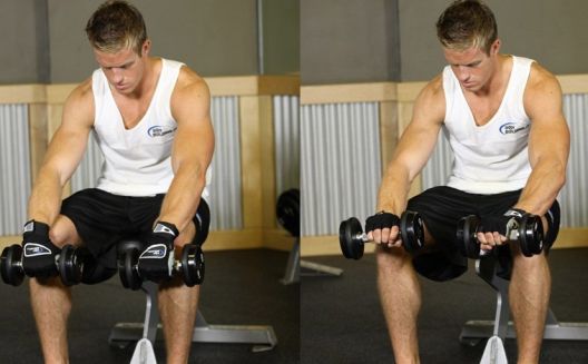 15 najefikasnijih vježbi sa samo dvije bučice