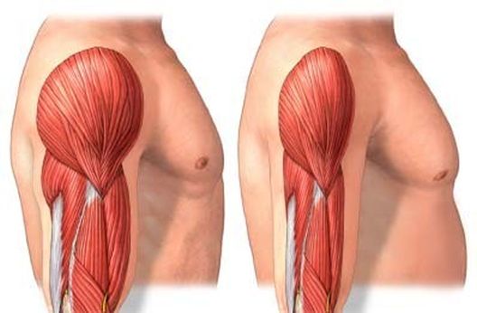 9 znakova manjka testosterona 9 znakova manjka testosterona