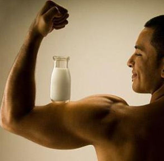 Mlijeko i bodybuilding - Da ili Ne ?